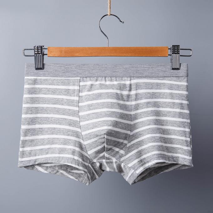 XXXL 165kg 95kg Cotton Men ชุดชั้นในเซ็กซี่กางเกงในผ้าฝ้ายแท้ผู้ใหญ่ Stripe Sports 5